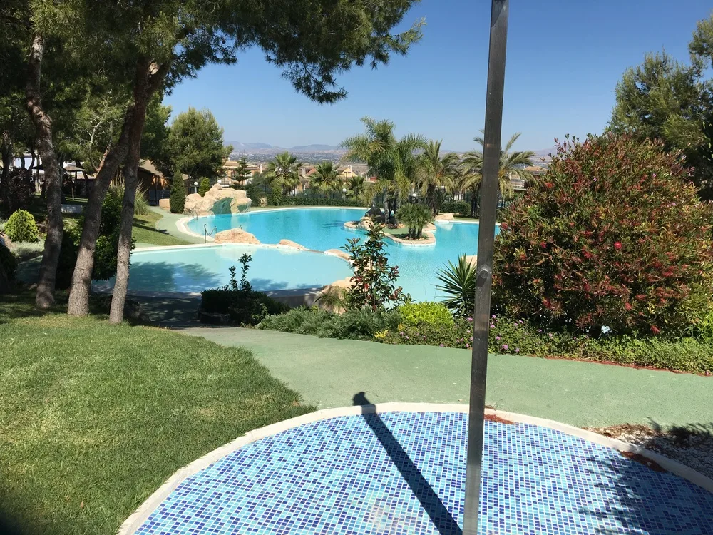 Communal swimming pool with palm trees in Gran Alacant